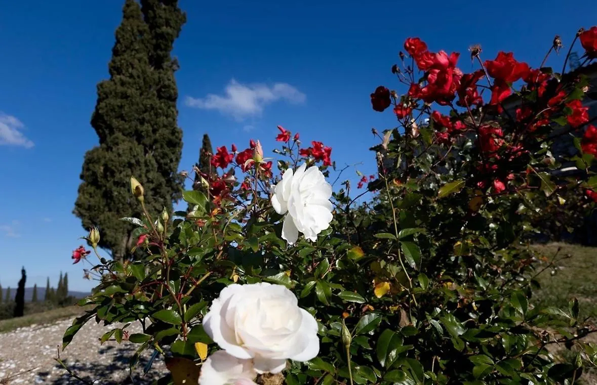 Agriturismo Il Ghiaccio Suvereto 0*,
